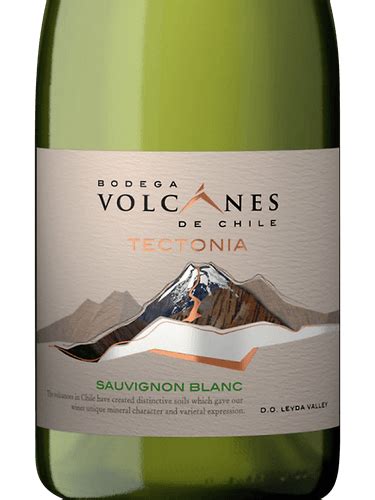 Bodega Volcanes Tectonia Sauvignon Blanc Vivino US