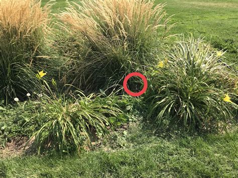 119 - Locomotive 1354