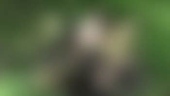 Wellies Porn Tube Video Clips Clips4sale