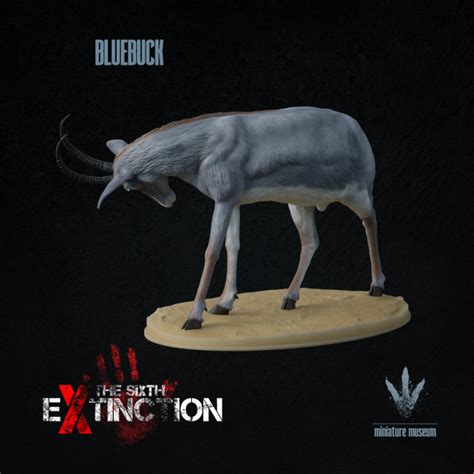 3D Printable Bluebuck : The Blue Antelope by Miniature Museum