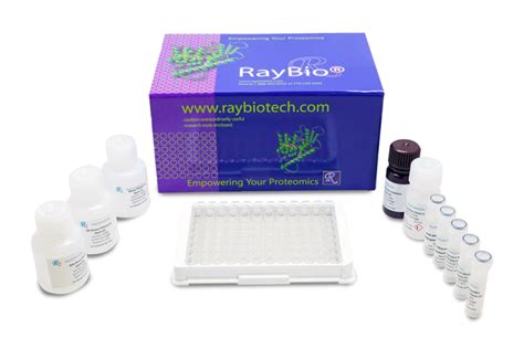 Mouse C5a Elisa Kit Raybiotech