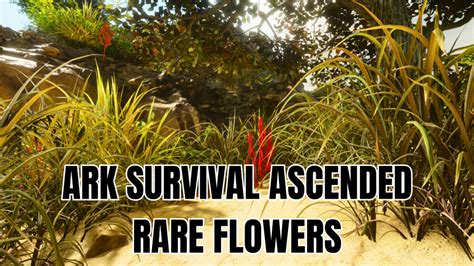 Ark Survival Ascended Rare Flowers How To Get Use Ginx Tv