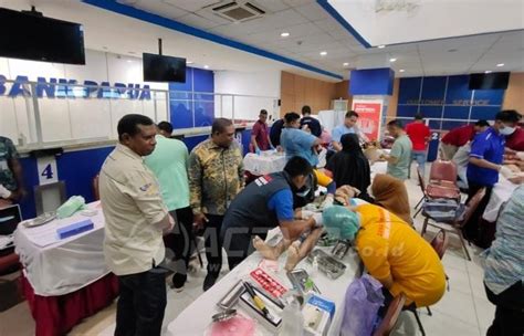 Semarak HUT Manokwari Bank Papua Dan PMI Gelar Donor Darah Dan Sunat