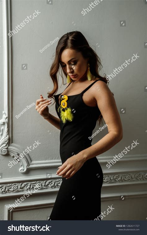 Beautiful Sexy Brunette Girl Dress Posing Stock Photo