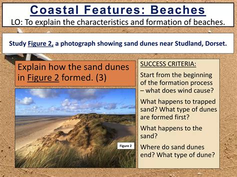 7. Beaches and sand dunes | PPTX