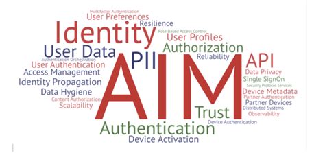 Access & Identity Management for Netflix Members