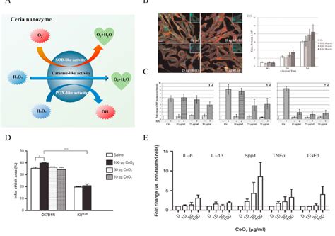 Reactive Oxygen Species Based Nanomaterials For The Treatment Of Myocardial Ischemia Reperfusion