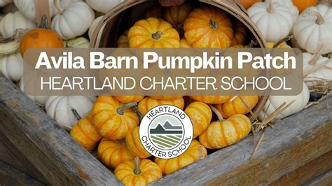 Avila Valley Barn pumpkin patch-Heartland Charter School, Avila Valley ...