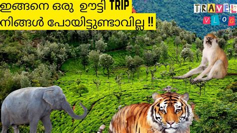 Bangalore To Ooty Road Trip In Car Via Bandipur Masanagudi Best