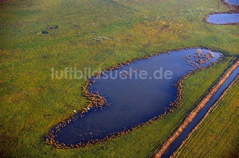 Amt Neuhaus Aus Der Vogelperspektive Strukturen Einer Auen Und Wiesen