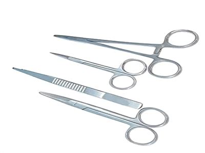 Forceps meaning in English | Forceps English meaning — MeaningDB