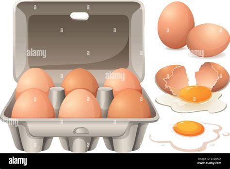 Artistic Eggs Stock Vector Images Alamy