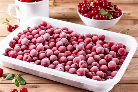 schnittlauch einfrieren schritt fur schritt anleitung