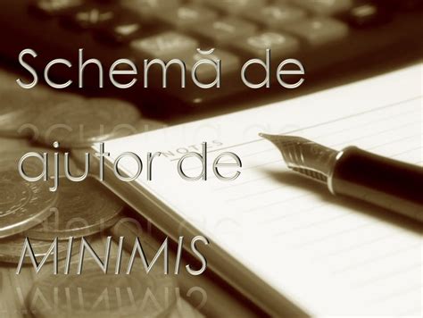 S A Aprobat O Noua Schema De Ajutor De Minimis Cnipmmr