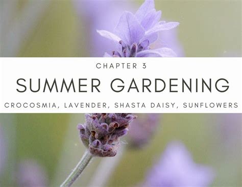 Summer Gardening