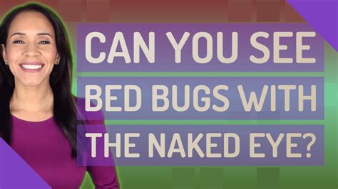 Can You See Bed Bugs With The Naked Eye YouTube