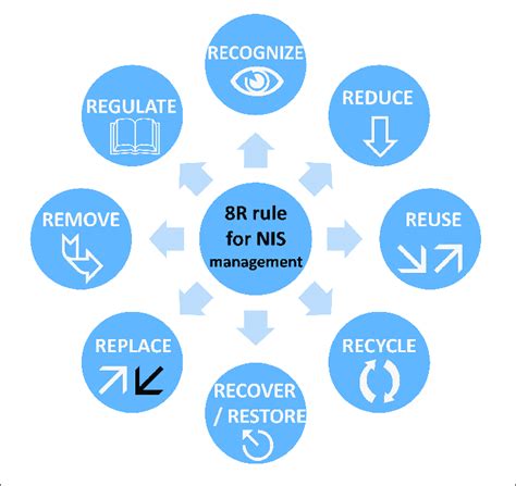 Representation Of The 8rs Model For Nis Management This Model Can Be Download Scientific