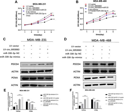 Hsa Circ Inhibits Breast Cancer Cell Proliferation Via Hsa Circ