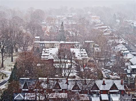 Photos of snowy Toronto