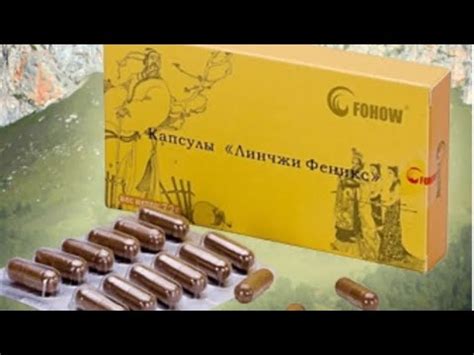 ЛИНЧЖИ ФЕНИКС - YouTube