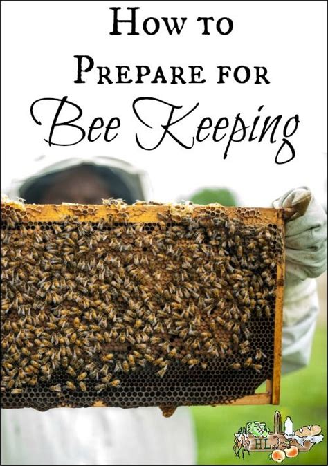 How To Start Beekeeping, Beekeeping For Beginners, Honey Bees Keeping, How To Keep Bees, Bee ...