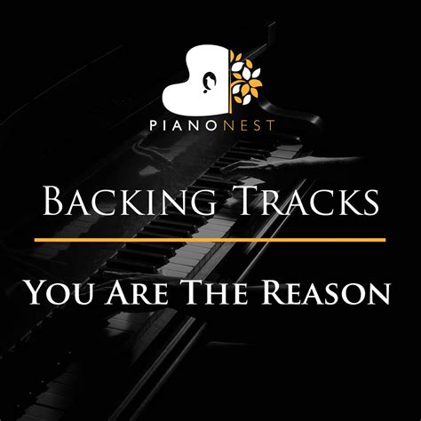 ‎You Are the Reason (Karaoke Piano) - Single by PianoNest on Apple Music