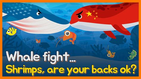 Whale Fight Shrimps Are Your Backs Ok Youtube