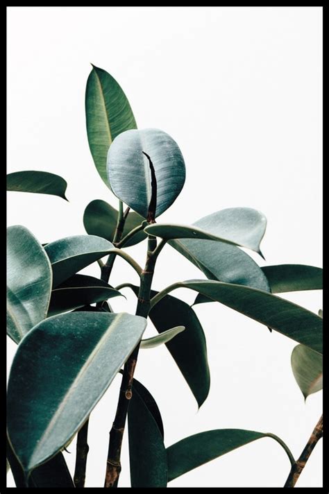 Bestsellers - самые популярные и продаваемые постеры на Postermarkt