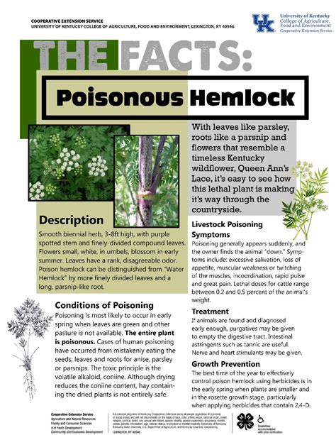 Poisonous Plants Edition