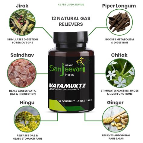 VATA MUKTI | Sanjeevani