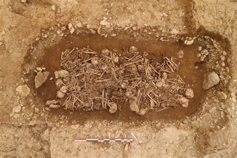 Neolithic Mass Grave Found In France The History Blog