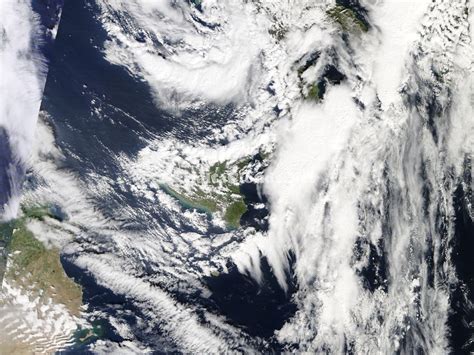 cb capillatus maltaclouds