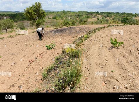 Contour ploughing hi-res stock photography and images - Alamy