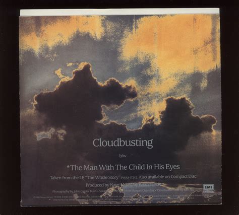 Kate Bush Cloudbusting Meaning 8