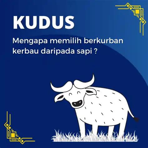 Tradisi Unik Sembelih Kerbau Idul Adha Di Kudus