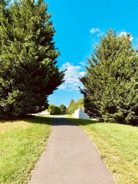 A Neighborhood Walk in a DC Suburb with Inspirational Quotes | by B.R