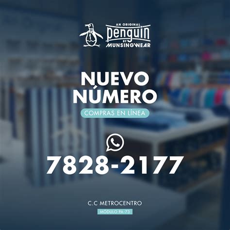 Original Penguin Nicaragua (@originalpenguinnic) • Instagram photos and