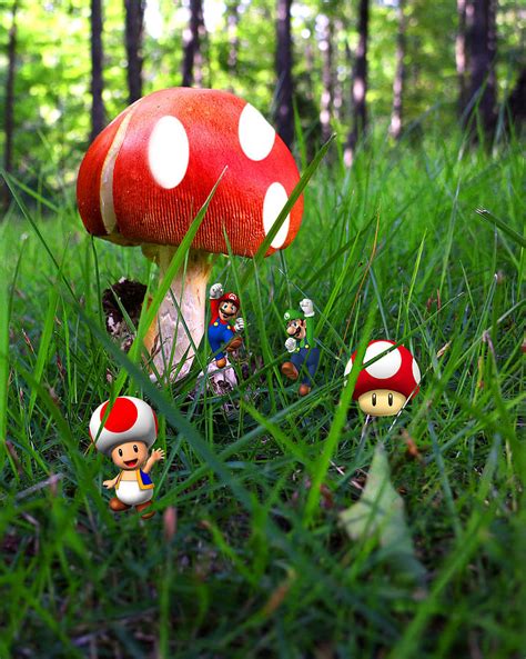Mario Mushrooms