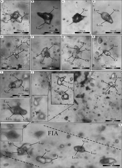 Photomicrographs Of Representative Fluid Inclusions In Quartz Crystals