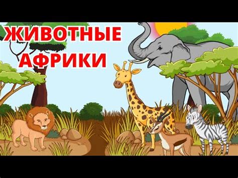 Животные Африки для детей и их звуки. Карточки домана. - YouTube