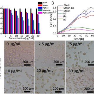 A Cell Viability Of Sgc Cells Incubated With Different Material