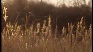 Vhs Dwh Free Anal Vintage Porn Video F Xhamster Xhamster