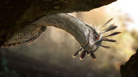 WHAT IS TROODONTIDAE? - YouTube
