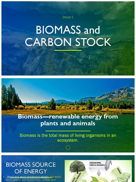 Biomass And Carbon Stock Pdf Biomass Biofuel