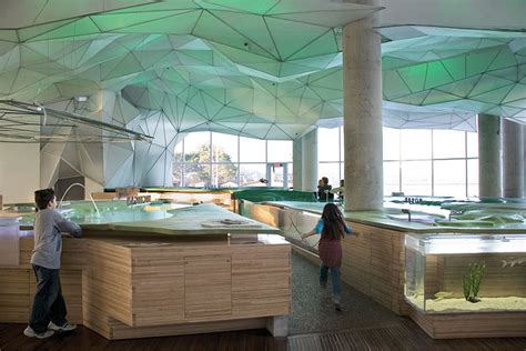 Imagine These: Museum Interior Design | Science Museum, Discovery World ...