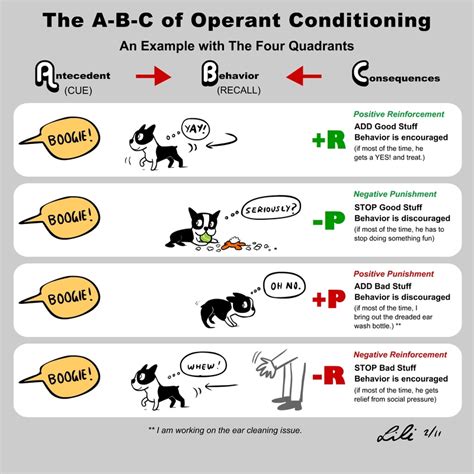 Operant Conditioning and Observational Learning - Psychology