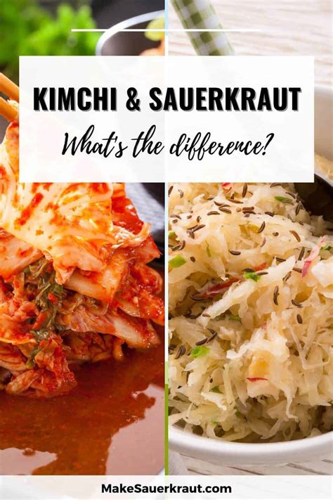 Kimchi vs. Sauerkraut [The Complete Guide] - MakeSauerkraut