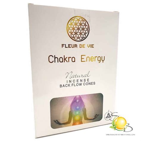 C Nes D Encens Backflow Fleur De Vie Chakra Energy Spiritualit Et