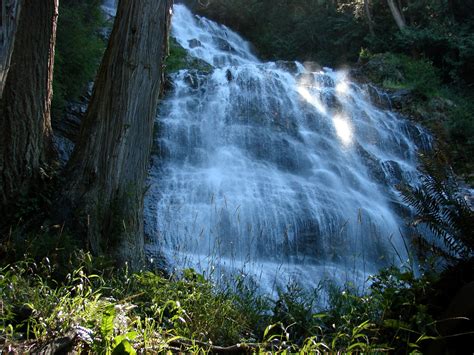 Wallpaper Sunlight Trees Landscape Forest Waterfall Nature Plants Wilderness Jungle