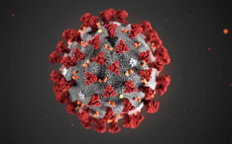 Coronavirus Le Immagini Del Virus Ncov Isolato Foto Sky Tg